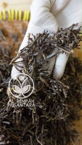 Batang Cengkeh Kering 500 gr Super - Campuran Jamu