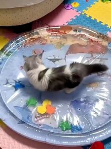 เบาะนอนแมวน้ำพองลม 3 มิติ พร้อมลูกสุนัข&ปลาแบบพกพา สีฟ้า เหมาะสำหรับสัตว์เลี้ยงขนาดเล็ก