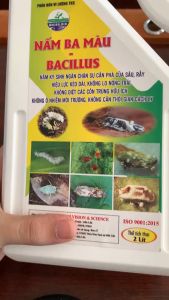 NẤM 3 MÀU Bacillus Phân Bón Vi Lượng