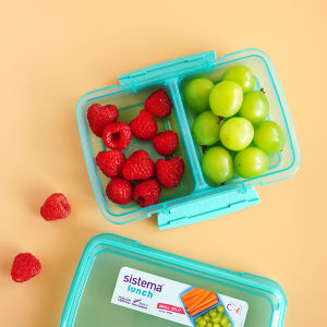 New Zealand SISTEMA 350ml Fruit Preservation Box Outdoor Snack Dessert Box 2 Partition Rectangular Plastic Container