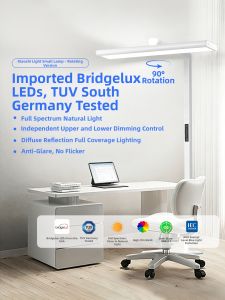 FSL | Eyes-Protecting Full Spectrum Learning Desktop Lamp