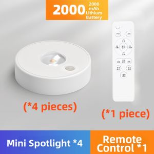LAISILIMANWEI | Wireless Remote Controlled Chargeable Magnetic Strip Light