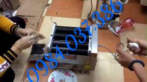 Máy cán vo viên hoàn mềm DZ-20 đường kính viên hoàn từ 6-12mm