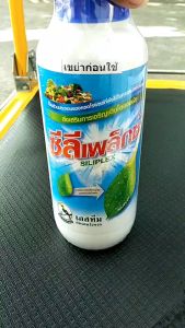 เอสทีม ซีลีเพล็กซ์ (SILI PLEX) ขนาด 1 ลิตร เอสทีม มีธาตุสังกะสี แมกนีเซียม ช่วยให้พืชออกดอก ติดผลดี ขั้วเหนียว ลดการหลุดร่วง ฟื้นต้นโทรม ขยายขนาด