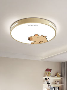 OSIZA | New Design Cartoony Ceiling Light for Bedroom and Kids Room