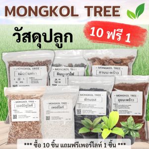 (ซื้อ 10 ฟรี 1) Mongkol Tree วัสดุปลูก 1 ลิตร พีทมอส เพอร์ไลท์ เวอร์มิคูไลท์ ขุยมะพร้าว กาบมะพร้าว หินภูเขาไฟ เม็ดดินเผามวลเบา ผสมดิน รากเดินดี