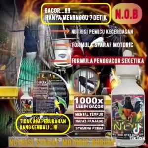LIQUID NOB Nutrisi Otak Burung Muraibatu Kacer Cucakijo Vitamin Suplemen Penggacor Burung
