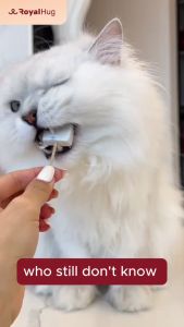 RoyalHugge Biotic+ Freeze-Dried Yogurt Cube With Pumpkin Pear | Cat & Dog Treat Food