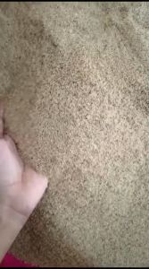 Telur Jangkrik Alam Sliring Kemasan 1 Kg Super Unggul