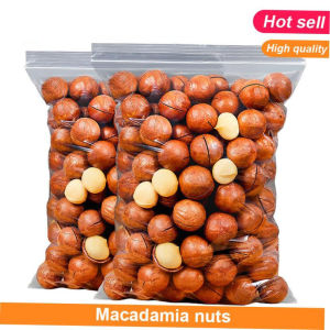 Buttery Adamia Nuts with Shell 500g Delicious Snack Halves Or Slices Origin China Mainland Various Packaging Options Available