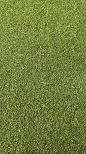 Sepatu Anak Slip On by Hoofla Kids