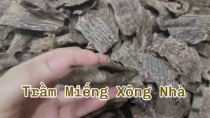 Trầm hương miếng xông nhà cao cấp trầm đã tỉa sạch hầu sạch mùi thơm thu hút tài lộc -Trầm Hương Hùng Dung [Tặng than đốt trầm]