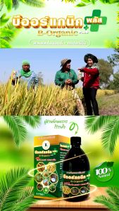 บีออร์แกนิคพลัส สูตรพิเศษ ลดปุ๋ยและสารเคมี ใช้ได้กับพืชทุกชนิด ฉีดได้ 30 ไร่ 300 ซีซี (เซ็ต2 ชุดประยัด)