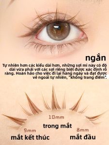 Miếng Dán Mi Giả Màu Nâu Dung Lượng Dày Phong Cách Hoạt Hình Không Cần Keo Miếng Dán Mi Giả Tự Nhiên Dream Deer Short Sunflower