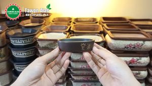 Pot Keramik Bonsai Oval Lonjong Mini Mame Bukan Plastik Semen - MOTIF 1