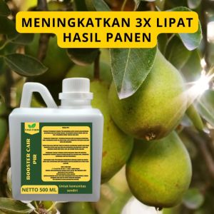 Pupuk Pelebat Pir: Panduan Lengkap untuk Meningkatkan Produksi Buah Pir