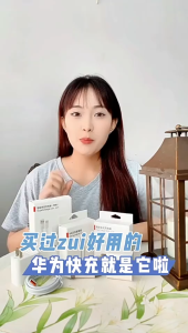 LONGHE HW 40W built-in temperature control chip super fast charging charger (VOOC 4.0)