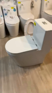 [PROMO INSTALL] Aalto AL8040 Geberit Toilet Bowl Rimless Double Vortex Flushing with Anti Bacteria Coating