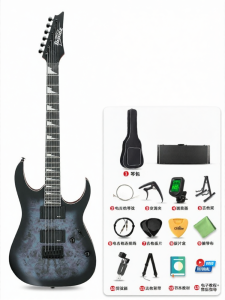 Ibanez | Beginner Electric Guitar Kit