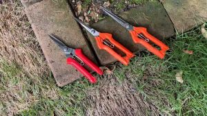 กรรไกรปลายแหลมยาว กรรไกรตัดแต่งกิ่งบอนไซ กรรไกรตัดผลไม้ กรรไกรตัดดอกไม้ กรรไกรตัดกิ่งไม้ กรรไกรตัดแต่งกิ่งไม้ ขนาด 9.4 นิ้ว