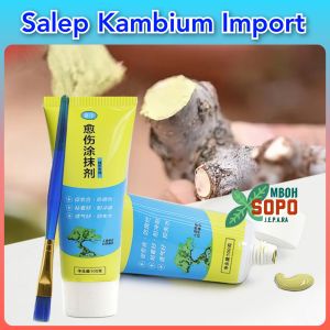 Alat Bonsai Healing Paste Salep kambium import Salep tanaman 100 gram
