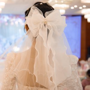 Princess Bowknot White Double-Layer Veil Headdress Simple and Short Bridal Wedding Registration Photo Props