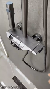 Sen cây nóng lạnh có vòi xịt Q2