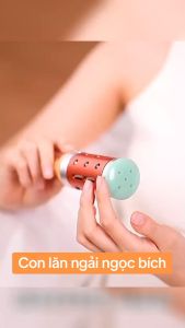 Thanh lăn ngải ngọc bích cây lăn ngải ngọc bích