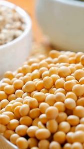 ถั่วเหลืองออร์แกนิค By Swees Cheese ขนาด500กรัม และ 1 กิโลกรัม มีใบรับรองอินทรีย์ Organic Soy Beans