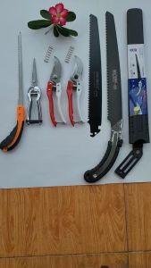 (FREESHIP) Combo Dụng Cụ Làm Vườn Cây Cảnh Bonsai Nhật Bản (Kéo Tỉa Trắng Kéo Cắt Cành Cưa Lách New và Cưa Barker Kèm Lưỡi) - Dụng Cụ Bonsai Hàng Nhật