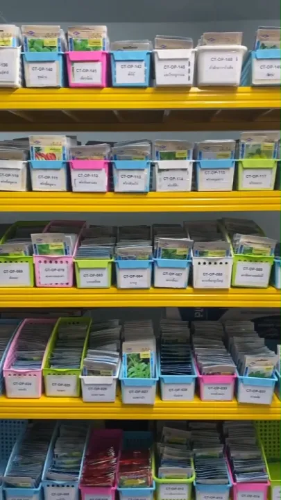 10 อันดับ เมล็ดพันธุ์คะน้า 'เจียไต๋' ยี่ห้อไหนดี? ปลูกง่าย โตไว ปี 2025