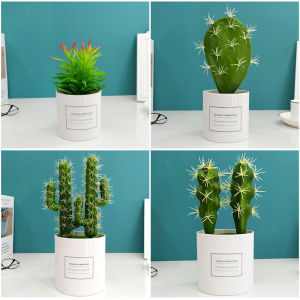Artificial Green Plant Ins Cactus Succulent Small Pot Plant Office Desk Surface Panel Furnishings & Decoration Fake Flower Living Room Decoration