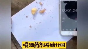 Professional Insect Repellent Plant-based formula Ants And Cockroaches Fast Action Spray Ant Bait High Killing Rate Ubat Semut Semula Jadi Anti Serangga