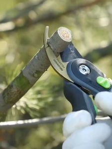 Stainless Steel Gunting Dahan Profesional Alat Potong Ranting Tanaman Perkakas Berkebun Anti Karat