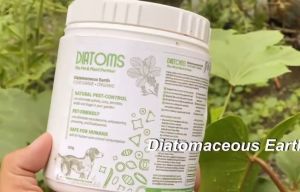Diatoms 1KG Natural Pest & Deworming Powder Diatomaceous Earth Food Grade
