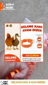 Gelang Kaki Unggas 2.4cm: Pemilihan & Penggunaan