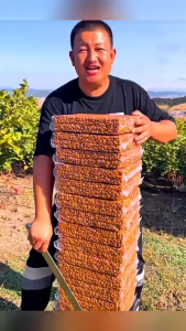 Hạt Thông Sấy Chín Ăn Liền 300G - Nguyên Vỏ  Nguyên Vị Tốt Cho Sức Khỏe - Dory-jp