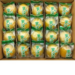 Authentic Fresh Golden Low Temperature Dried Honghongguo Snack from Guilin Guangxi 2024 New Stock Fruit Preservation