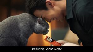 Sheba Melty Creamy Cat Treat Puree Lickable Liquid Cat Snack 48G