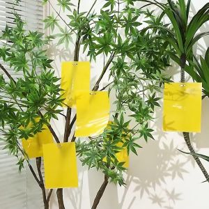 🔥20 cái 🔥Bẫy ruồi vàng hai mặt Miếng Dán Bẫy Côn Trùng Hiệu quảhai mặt siêu thu hút siêu dính15x20cm 20x25cm25x30cm