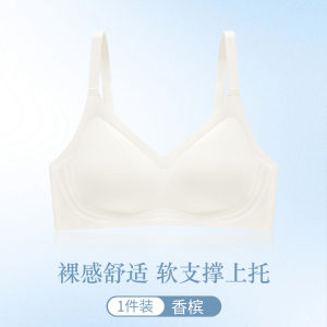 ความรู้สึกเย็นสบาย ระบายอากาศได้ดี บราเปลือยบางเฉียบ ผู้หญิง หน้าอกใหญ่ปรากฏตัวเล็ก ไม่มีห่วงเหล็ก สายคล้อง Ice ผ้าไหม Tube เสื้อท่อนบน Bra