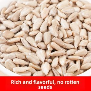  New Stock Sunflower Seeds Kernel Original Flavor Baked Oil Pressed Snacks Non-Fried Treats from Bayan Ordos Inner Mongolia