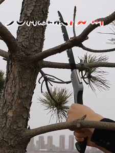 Hand Manual Folding Camping Saw Foldable Camping Tourist Saw Alloy Steel Ptfe CoatedAnti-Slip Grip For Tree Pruning Folding Saw Woodworking Tools Multifunction Cutting Wood Sharp Camping Garden Prunch Saw Trees Chopper Dry Wood Knife Hand Tools