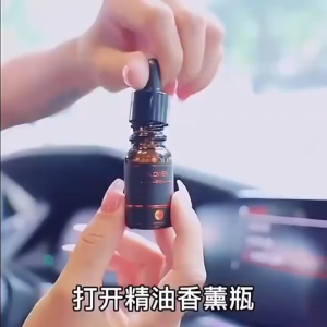Car And House Fragrance 50ml Car Perfume Air Freshener Perfume Refills Aromatherapy Diffuser Essential oil