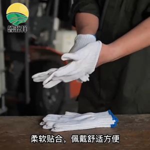 ถุงมือผ้าของซอฟต์แวร์สีขาวและสีเทา 12คู่ ราคาถูก ถูกถุง ถูกถุงฝ้าย ถูกถุงทอ ถูกถุงทำงาน ถูกถุงฝูง ถูกถูกเป็นสินค้าที่ทำงาน ถูกถูกสนับสนุน ราคาที่ถูกถูกระบุ
