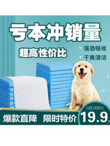 Extra Large Thickened Pet Urine Pad Odor Eliminator Absorbent Dog Training Potty Pad Cat Litter Guide Urinal Mat Pet Supplies