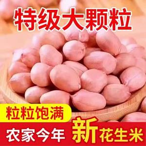 Fresh Green Large Peanuts