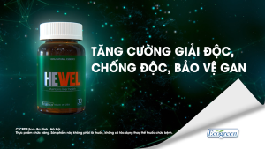 [Tặng Qik Hair For Men 15v] Combo 4 Hộp 30v - Viên Uống Bảo Vệ Gan HEWEL Ecogreen Hỗ Trợ Tăng Khả Năng Thải Độc Gan hàng chính hãng made in USA