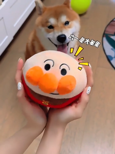Dog Toy Music Jumping Ball Self-Happy Boredom Relief Handy Tool Bite-Resistant Electric Jumping Ball