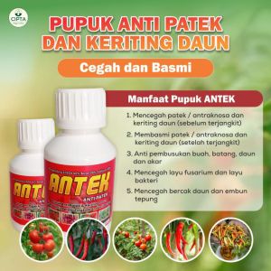 Pupuk Antek Anti Patek Anti Kriting Daun Bergaransi (Beli 3 Gratis 1)